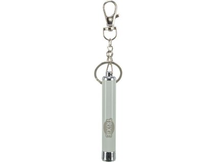 LED-Blinker mit Fischmotiv (RP 2,10 CZK)