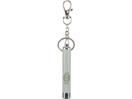 LED-Blinker mit Fischmotiv (RP 2,10 CZK)