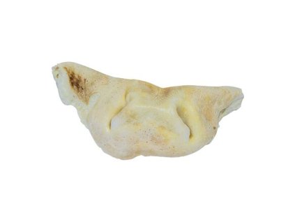 Kaganiec wołowy biały (popcorn) - 1 szt