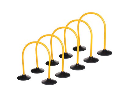 5x training arch - Also with bases variant 25461