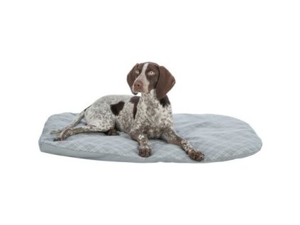 Đệm hình bầu dục JESSIE, cotton/polyester, xám/trắng