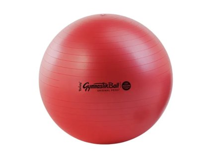 LEDRAGOMMA TONKEY GYMNASTIK BALL Maxafe 65 cm Typ: šedá