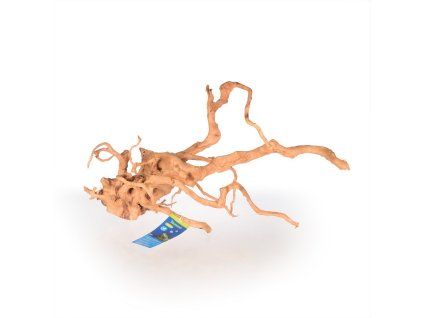 Spider Wood L, 40-50cm