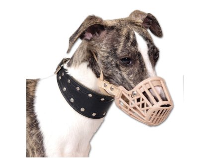 Náhubek Safeguard č.2 - Pudl toy