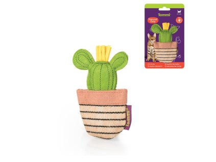 Natural Only - kaktus, 11 cm