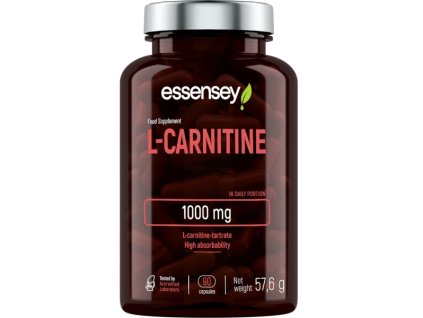 TMP TR 08 031 MAXI 01