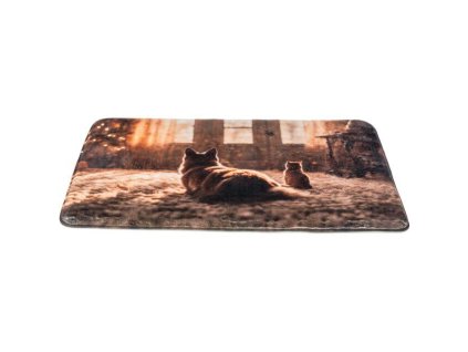 Vánoční podložka na ležení, fotomotiv kočka&pes, 50 x 30 cm