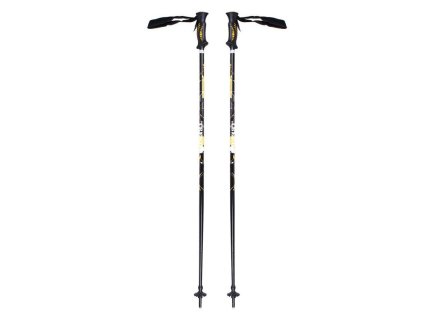 Trend sjezdové hole délka 135 cm