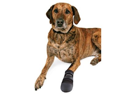 Botičky-neopren 2ks - TRIXIE (Provedení XXXL:např. leonberger)