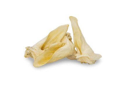 Výprodej - Srnčí ucho bílé (popcorn) - 1 ks
