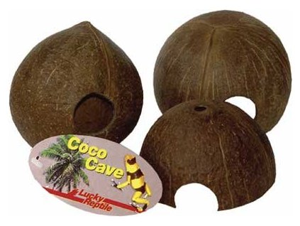 Lucky Reptile Coco Cave 3 4 skorapky cca 10 14 cm 270920250630256630