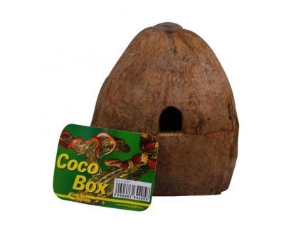 fp 64205 lucky reptile coco box 20260722003106 UFjXKR