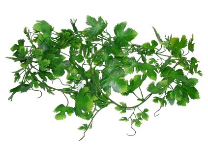 Lucky Reptile Jungle Vine Gape Leaf Vine cca 200 cm 2709202506302180769