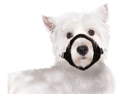 kf 502502 20211109051108 QlSpiZ