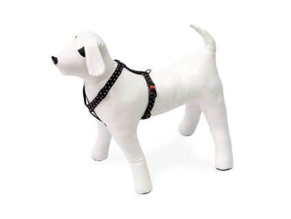 kf 522043 20211109051532 8Ynutq