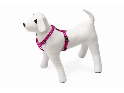 Karlie Postroj ASP Mix Match ruzovy motiv CHIP velikost 45 70cm 20mm 0412202516241859306