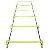 Boost agility žebřík délka 2,5 m