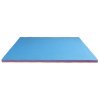 Champion tatami thickness 4 cm