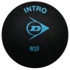 Intro-Squashball-Variante 37723