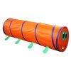 Tunnel Caterpillar crawling tunnel variant 38755
