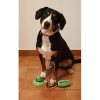 Đồ chơi Doggie cho chó phiên bản xanh 40021