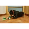 Doggie hračka pre psov zelená varianta 40021