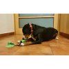 Doggie hračka pro psy zelená varianta 40021