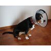 Anti Bite Collar ochranný límec pro psy rozměr M