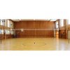 Offizielles Volleyballnetz Variante 40496