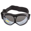 Chamonix ski goggles variant 40980