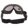 Chamonix ski goggles variant 40980
