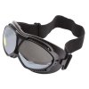 Chamonix ski goggles variant 40980