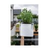 Cobble flower pot holder clear version 41047