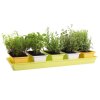 Hộp Minigarden 60 Spring Mix phiên bản 41165