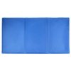 Đệm làm mát Ice Paddog cho chó màu xanh size XS