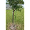 Gardening Pole 8 garden pole length 120 cm