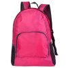Wander backpack pink version 38976