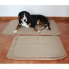 Paddog-Matte für Hunde beige Größe S