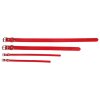 Dog Leash collar for dogs red size L