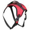 Body harness for dogs red size L