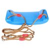 Board Swing children's swing blue variant 40590