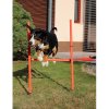 Dog Trainer przeszkody agility dla psów opakowanie 1 zestaw