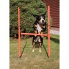 Dog Trainer agility překážky pro psy balení 1 sada