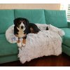 Petsofa pelíšek pro psa světle šedá rozměr M