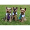 Cà vạt Gentledog cho chó quần áo màu vàng size S