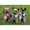 Cà vạt Gentledog cho chó quần áo màu hồng size S