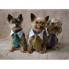 Gentledog tie for dogs purple clothing size S