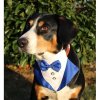 Formal bow tie for dogs blue clothing size S