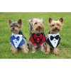 Formal bow tie for dogs blue clothing size S