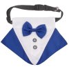 Formal bow tie for dogs blue clothing size S